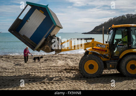 Falmouth, Cornwall, UK. 13. April 2016. Arbeiter wiedereinzusetzen Strandhütten an Swanpool Strand, Falmouth, Cornwall in Vorbereitung für die Sommersaison an einem wunderschön sonnigen Apriltag. Bildnachweis: Mick Buston/Alamy Live-Nachrichten Stockfoto