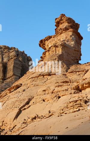 Verwitterte Felsen Finger in Steinwüste, Israel Stockfoto