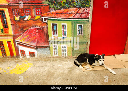 VALPARAISO, CHILE - 28 Mai: Hund vor einem bunten Wandgemälde in Valparaiso, Chile am 28. Mai 2014 Stockfoto