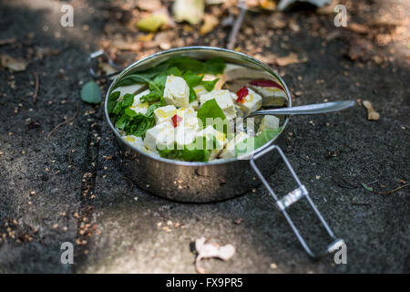 Marinierter Tofu mit frischen Kräutern und Zitronenschale in Stahl Lunchpaket an Wand Stockfoto