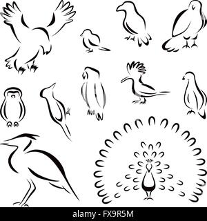 Satz von Vögel Stock Vektor