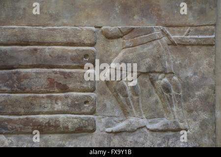 Platte. Transport von Holz (Zedern des Libanon. Männer sind eine Belastung mit einem Seil ziehen. Palast von Sargo II. Khorsabad.Iraq. Stockfoto
