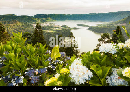 Caldera von Sete Cidades mit seinen beiden Seen, Insel Sao Miguel, Azoren. Hortensie blüht im Vordergrund. Stockfoto