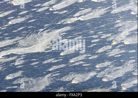 Abstrakte Malerei. Herabfallende Gegenstände Platz. Tatsächlich, der Schlamm spritzt und sonnigen starrt auf die Motorhaube des Autos. Stockfoto