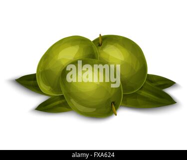 Oliven, isoliert auf weiss Stock Vektor
