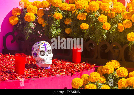 Chile und Blumen, Dia de Muertos Feier Stockfoto