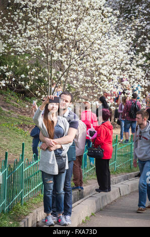 Die Menschen genießen Frühling Magnolienblüten im Botanischen Garten in Kiew, Ukraine Stockfoto