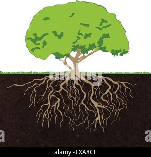 Skizzieren Sie Baumwurzeln Stock Vektor