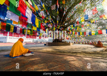 Sadhus, die heiligen Männer sitzen um den Bodhi-Baum neben dem Mayadevi Tempel, Geburtsort von Buddha Siddhartha Gautama, Lumbini Stockfoto