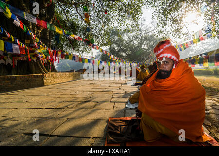 Sadhus, die heiligen Männer sitzen um den Bodhi-Baum neben dem Mayadevi Tempel, Geburtsort von Buddha Siddhartha Gautama, Lumbini Stockfoto