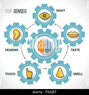 Fünf Sinne-Konzept Stock Vektor