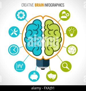 Kreative Gehirnhälfte Infografiken Stock Vektor