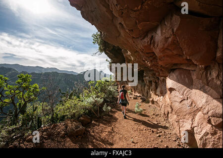 Wandern im Anaga-Gebirge, zwischen Punta del Hidalgo und Chinamada., Teneriffa, Spanien Stockfoto