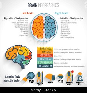 Gehirn-Inforgaphics-set Stock Vektor
