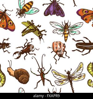 Insekten skizzieren Musterdesign Farbe Stock Vektor