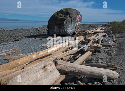 "Großer Stein" Campbell River, Georgia Straits, Vancouver Island BC geologischen Eiszeit Relikt, malte bunt.  SCO 10.209. Stockfoto