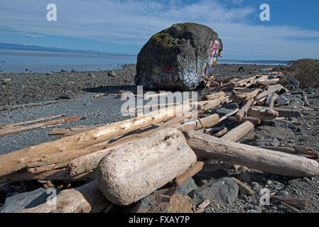 "Großer Stein" Campbell River, Georgia Straits, Vancouver Island BC geologischen Eiszeit Relikt, malte bunt.  SCO 10.210. Stockfoto