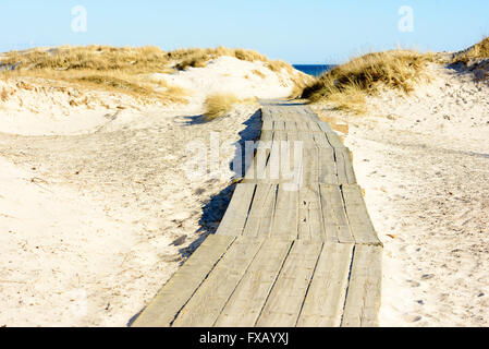 Hölzernen Gehweg oder Rollstuhl Trail am Sandstrand zwischen Sanddünen hinunter in Richtung Meer. Eine sonnige und schöne Tag bei der bea Stockfoto