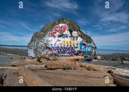 "Großer Stein" Campbell River, Georgia Straits, Vancouver Island BC geologischen Eiszeit Relikt, malte bunt.  SCO 10.303. Stockfoto