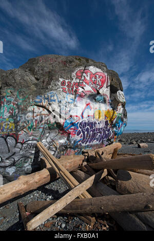 "Großer Stein" Campbell River, Georgia Straits, Vancouver Island BC geologischen Eiszeit Relikt, malte bunt.  SCO 10.308. Stockfoto