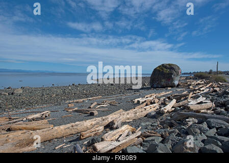 "Großer Stein" Campbell River, Georgia Straits, Vancouver Island BC geologischen Eiszeit Relikt, malte bunt.  SCO 10.309. Stockfoto