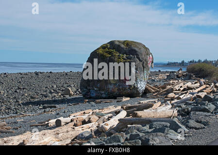 "Großer Stein" Campbell River, Georgia Straits, Vancouver Island BC geologischen Eiszeit Relikt, malte bunt.  SCO 10.311 Stockfoto