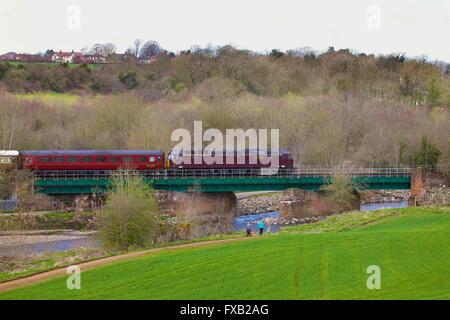 Cummersdale Viadukt. British Rail Class 57, Nr. 57313 von West Coast Railway Company Kreuzung Brücke geführt. Carlisle, Cumbria, UK. Stockfoto