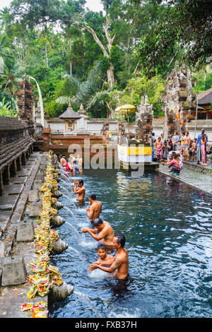 Menschen und reinigende Pool. Tirtha Empul Tempel. Bali. Indonesien, Asien. Stockfoto