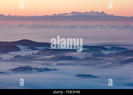 Morgen Blick auf Tal voller Tiefe Wolken mit Auswahl der österreichischen Alpen im Hintergrund von aufgehenden Sonne beleuchtet. Stockfoto