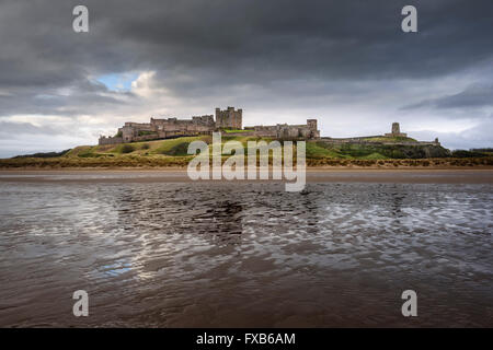 Bei Ebbe am Strand von Bamburgh Stockfoto