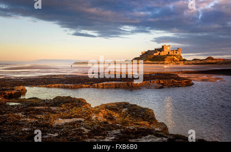 Bamburgh Castle in der Abend-Sonne Stockfoto