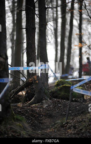 Blandford, Dorset, UK, 13. März 2016. Okeford Hill MTB DH. Die neu eröffneten Okeford Hill Bike Park Einstellung für die Hammoon-201 Stockfoto