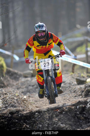 Blandford, Dorset, UK, 13. März 2016. Okeford Hill MTB DH. Dean Collister in Aktion auf der neu eröffneten Okeford Hill-Bike-park Stockfoto