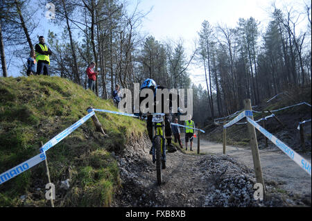 Blandford, Dorset, UK, 13. März 2016. Okeford Hill MTB DH. Matt Burridge in Aktion auf der neu eröffneten Okeford Hill-Bike-park Stockfoto