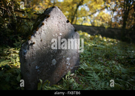 Alter jüdischer Friedhof Liten in Tschechien Stockfoto