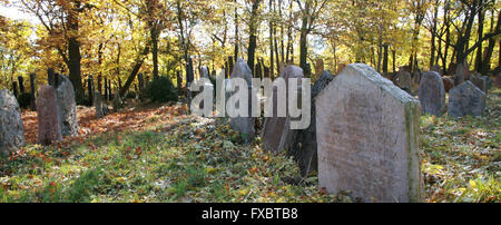 Alter jüdischer Friedhof Liten in Tschechien Stockfoto