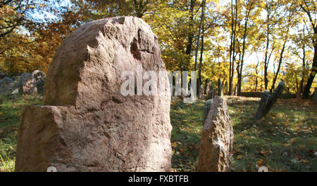 Alter jüdischer Friedhof Liten in Tschechien Stockfoto