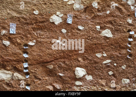 Archäologische Ausgrabung. Studieren Sie Materialien bleibt. Stratigraphie. Atapuerca. Burgos. Spanien. Stockfoto