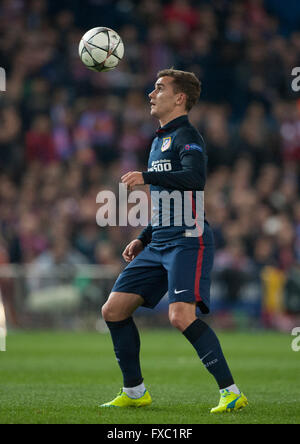 Vicente Calderon Stadion, Madrid, Spanien. 13. April 2016. Antoine Griezmann in Aktion in der zweiten Hälfte. UEFA Champions League 2015/16 Viertel Finale zweite Bein Atletico de Madrid Vs Barcelona Credit: Pablo Gonzalez Cebrian/Alamy Live News Stockfoto