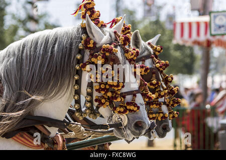 Sevilla, Spanien. 14. April 2016. Detail der Pferde eines typischen Chariot an die "Feria de Abril'' (Feria) 2016 © Daniel Gonzalez Acuna/ZUMA Draht/Alamy Live News Stockfoto