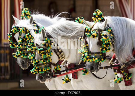 Sevilla, Spanien. 14. April 2016. Detail der Pferde eines typischen Chariot an die "Feria de Abril'' (Feria) 2016 © Daniel Gonzalez Acuna/ZUMA Draht/Alamy Live News Stockfoto