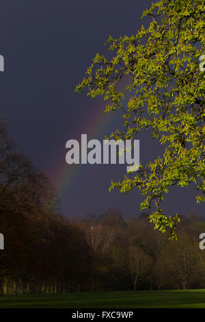 Abington Park, Northampton, Wetter, 14. April 2016. Schwerer Regen und Hagel Sturm als Prognose mit einem Regenbogen über den Park. Bildnachweis: Keith J Smith. / Alamy Live News Stockfoto