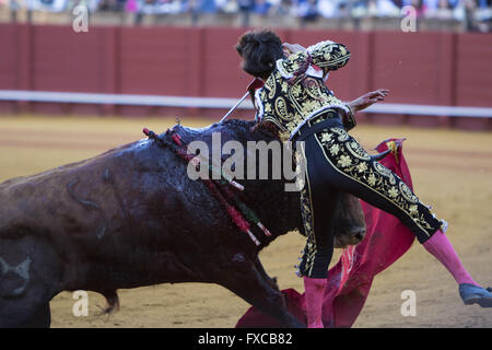 Sevilla, Spanien. 14. April 2016. Torero Jose Manuel Garrido ist von einem Stier beim Stierkampf der "Feria de Abril'' (April Fair) feierte am Stierkampfarena Real Maestranza de Sevilla Credit Rind: Daniel Gonzalez Acuna/ZUMA Draht/Alamy Live News Stockfoto