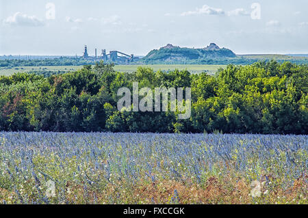 Landschaft mit einem Feld, die Zeche Abfall Haufen und am Horizont Stockfoto