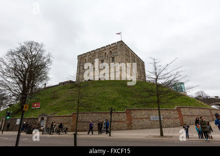 Burg von Norwich, Norfolk, England, UK Stockfoto