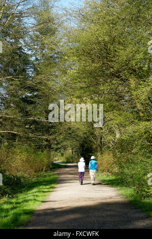 Älteres Paar walkingalong einen Pfad durch den Wald im Frühling, Jericho Park, Vancouver, BC, Kanada Stockfoto