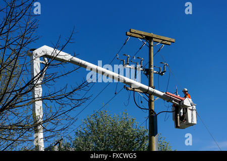 Arbeiter machen elektrische Reparaturen aus dem Eimer einen fröhlichen Picker in Vancouver, BC, Kanada Stockfoto