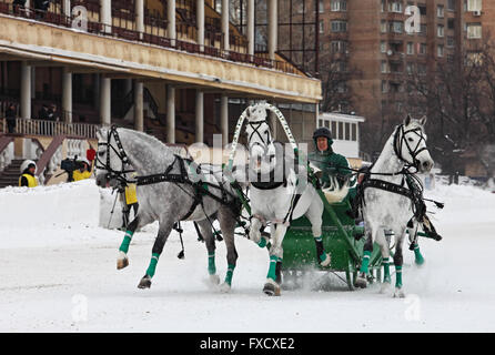 Eine drei-Horse-drawn Troika im Winter, Russland Stockfoto