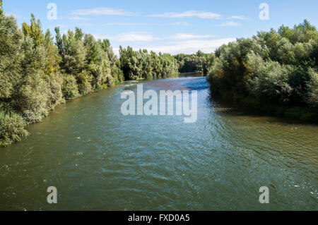 Blick auf den Fluss Esla auf seinem Weg durch Villanueva de Las Manzanas Gemeinde in der Provinz Leon, Spanien Stockfoto