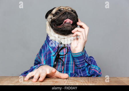 Nachdenklicher Mops Hund mit Mann übergibt im karierten Hemd sitzen und denken grauen Hintergrund Stockfoto